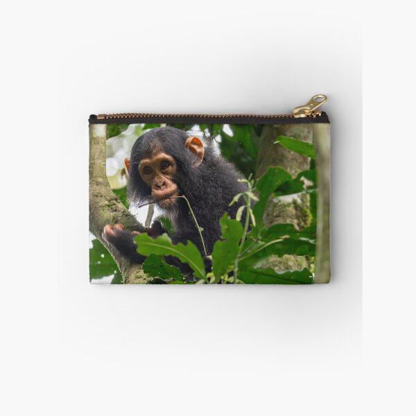 Item preview, Baby Chimpanzee designed and sold by Lee Wilson.