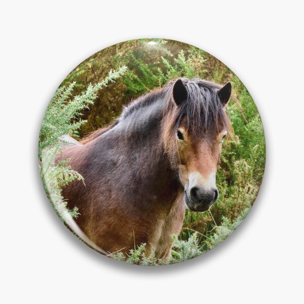 Item preview, Exmoor Pony Hiding Among the Ferns designed and sold by Kerry Palmer.