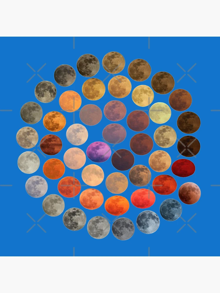 Thumbnail 5 of 5, Coasters (Set of 4), Many Moons designed and sold by Racyfun77.