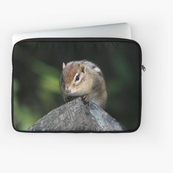 Chipmunk perched on a post Laptop Sleeve