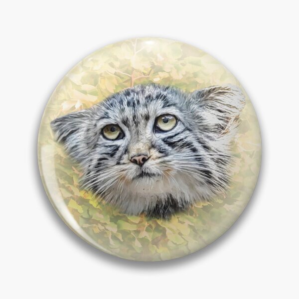 Item preview, Manul-Pallas's cat designed and sold by Guardi71.