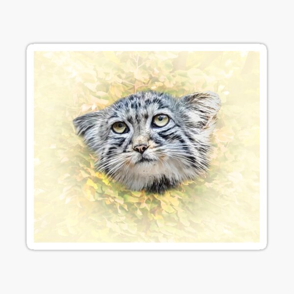 Vista previa del artículo con la obra «El gato de Manul-Pallas», diseñado y vendido por Guardi71.