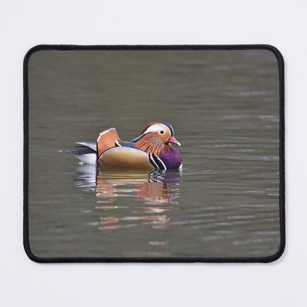 Item preview, Mandarin Duck Swimming on Calm Waters designed and sold by Kerry Palmer.