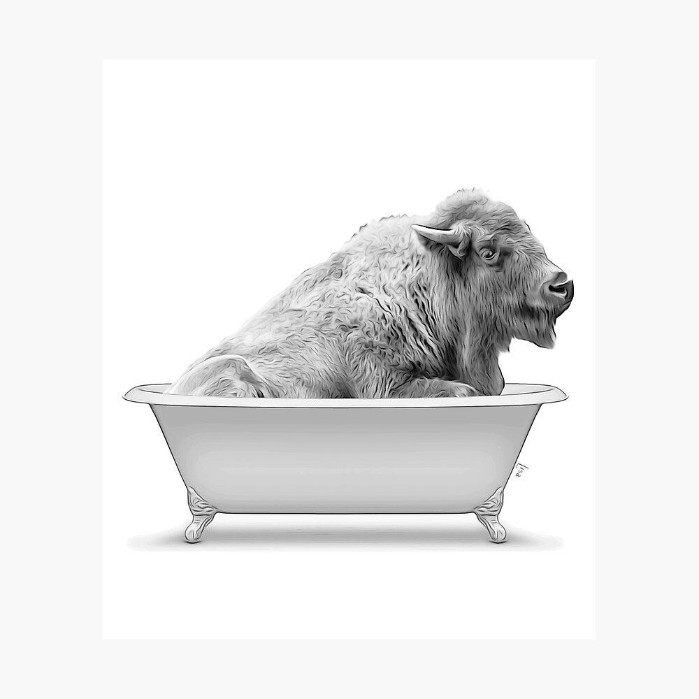 bison, bathing in a vintage bathtub, bathroom wall art, bathroom decor, nursery  decor Poster for Sale by printablelisa