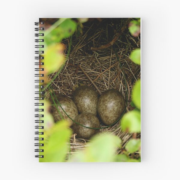 Item preview, Skylark eggs and bilberry designed and sold by AnthonyThomas.
