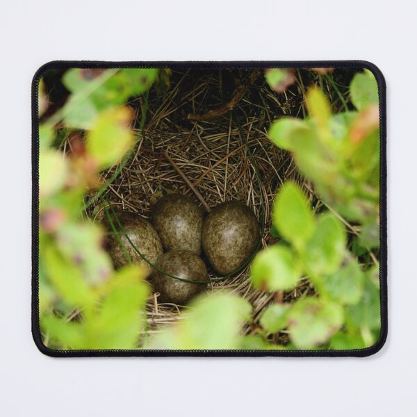 Item preview, Skylark eggs and bilberry designed and sold by AnthonyThomas.