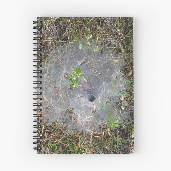 Item preview, Funnel Web designed and sold by Kathleen Brant.