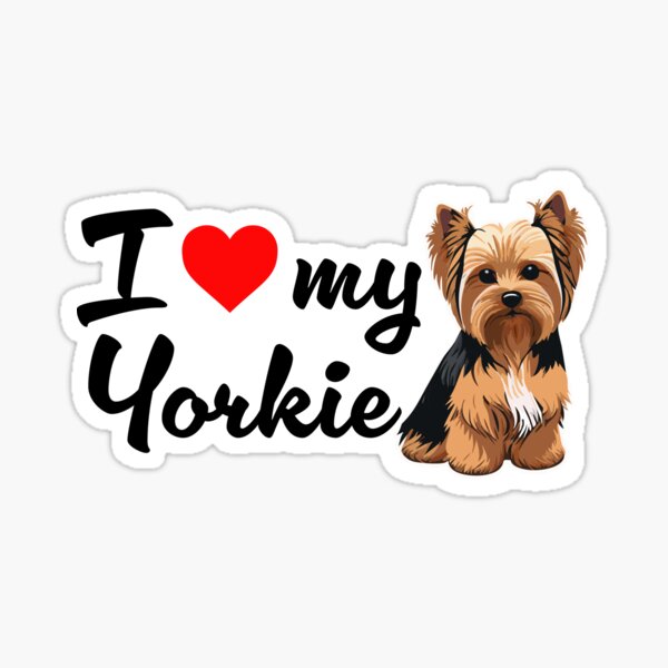 Wb yorkies orders