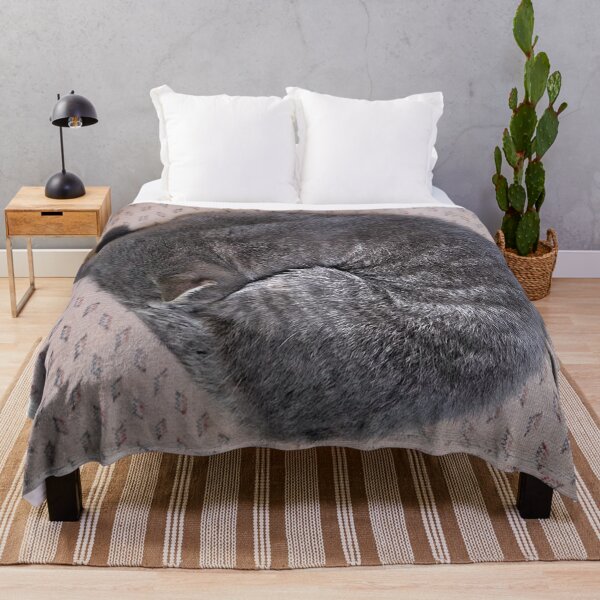 Item preview, Grey cat roll up in a ball designed and sold by AnthonyThomas.