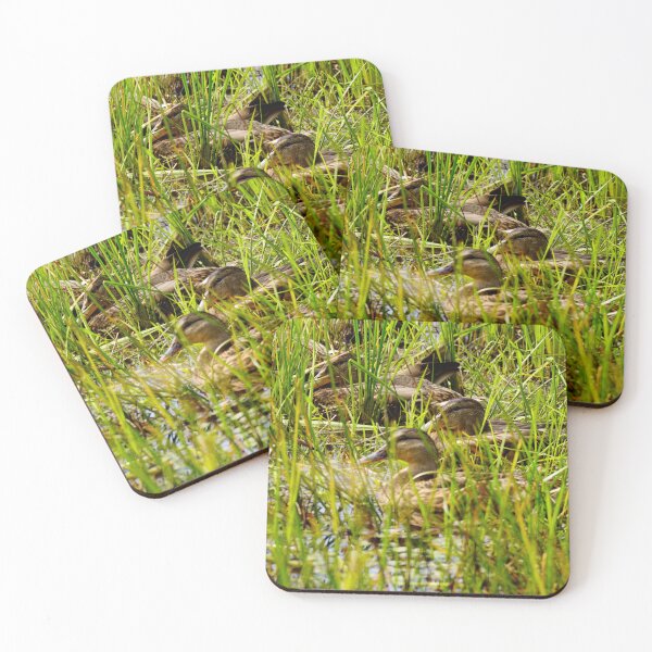Item preview, Ducks designed and sold by mylensflow.