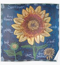 The Sunflower Poster