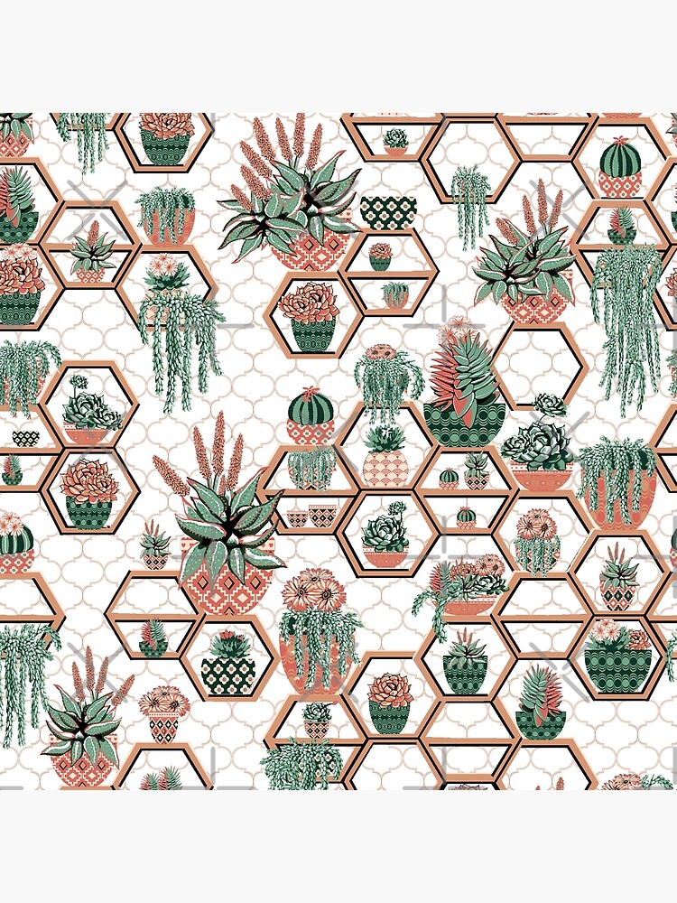hexagon geometric pattern, 2020, cacti garden, Cacti and Succulent Garden by MagentaRose