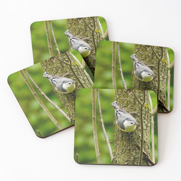 Item preview, Birds, White-breasted Nuthatch designed and sold by mylensflow.