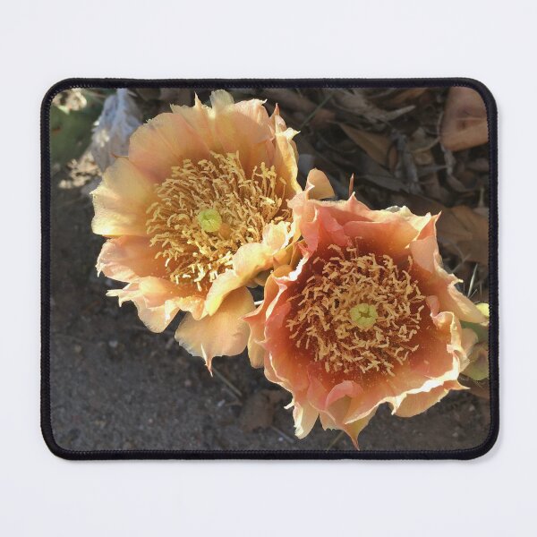 Item preview, Rain in the high Desert designed and sold by NtrLOVE.