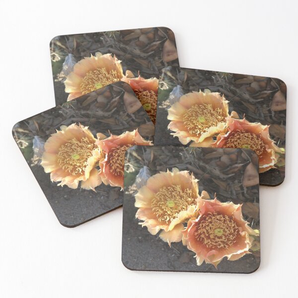 Item preview, Rain in the high Desert designed and sold by NtrLOVE.
