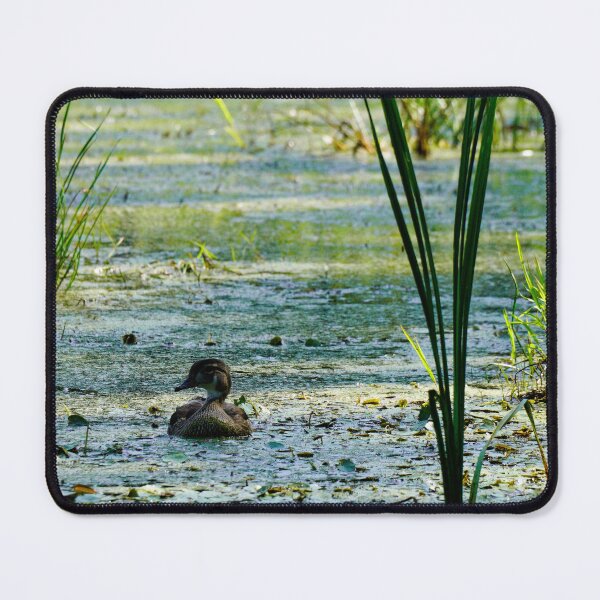 Item preview, Ducks designed and sold by mylensflow.