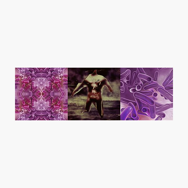 Photographic Print