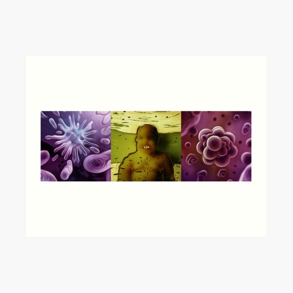 Art Print