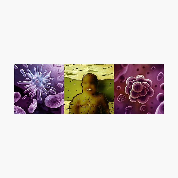 Photographic Print