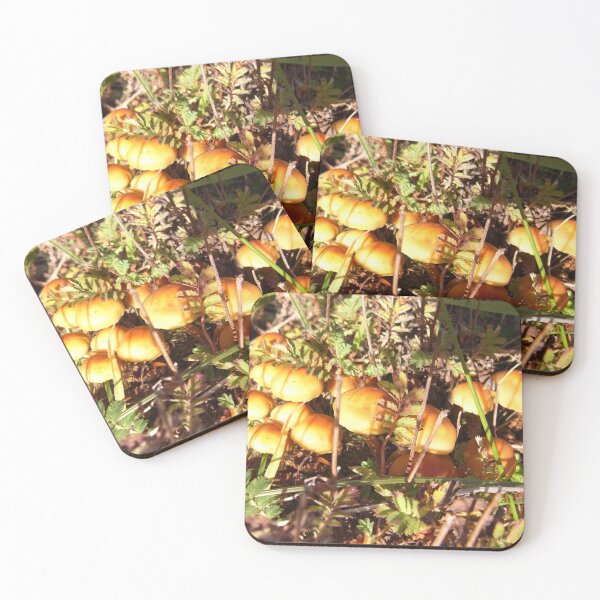 Item preview, Yellow fungi sunlit in the forest designed and sold by MadaruCreations.