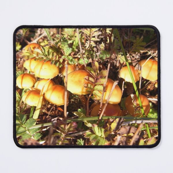 Item preview, Yellow fungi sunlit in the forest designed and sold by MadaruCreations.