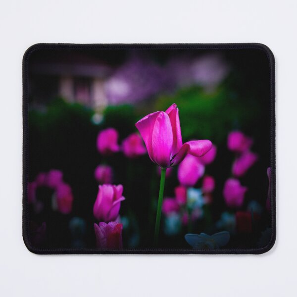 Item preview, Tulip in the night designed and sold by mylensflow.