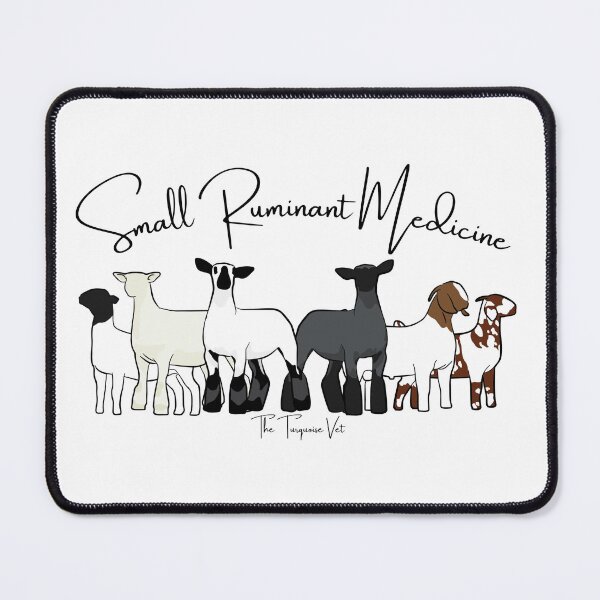 Item preview, Small Ruminant Medicine  designed and sold by TheTurquoiseVet.