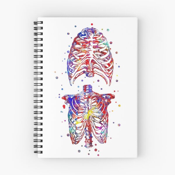 Item preview, Skeleton torso, watercolor skeleton torso designed and sold by Rosaliartbook.