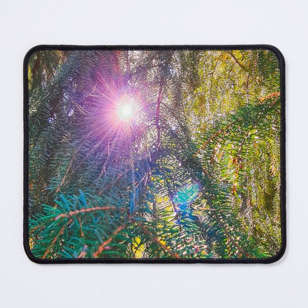 Artikelvorschau, Das Licht und der Baum entworfen und verkauft von bluerosesart37.