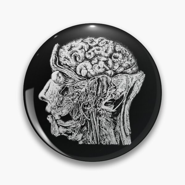 Item preview, Human Head Cross Section designed and sold by Redmonks.
