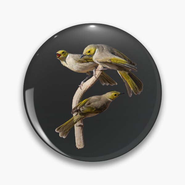 Item preview, Australian birds - white-plumed honeyeaters designed and sold by Ozjanette90.