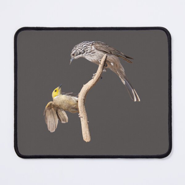Item preview, Australian birds - honeyeaters designed and sold by Ozjanette90.