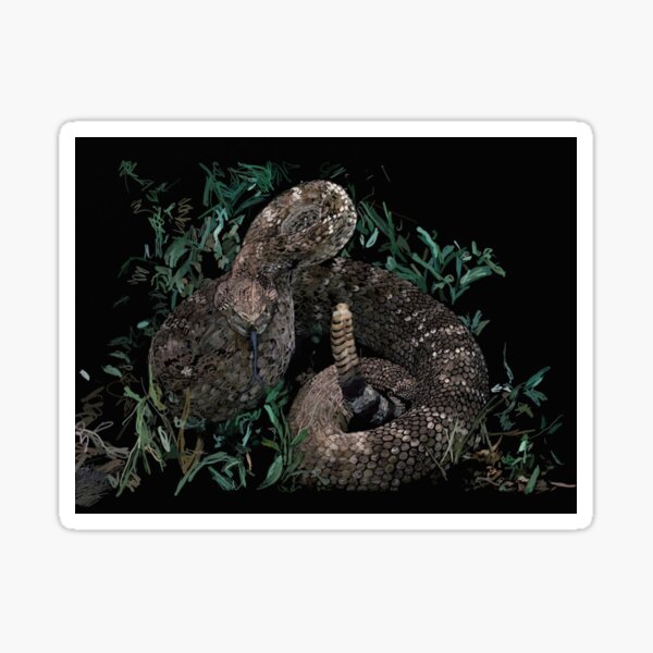 Item preview, Snake 3 designed and sold by joeroachex.