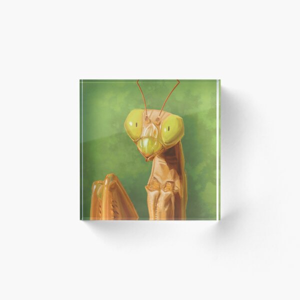 Item preview, mantis portrait designed and sold by dinoserious.