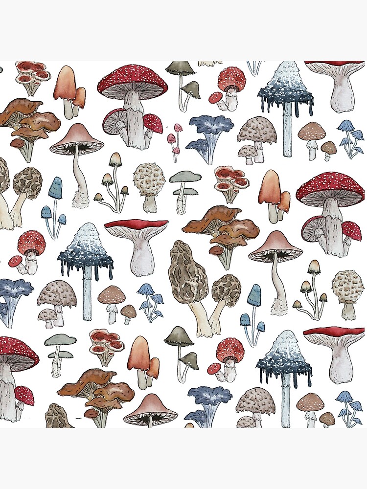 Make Room for the Mushrooms –