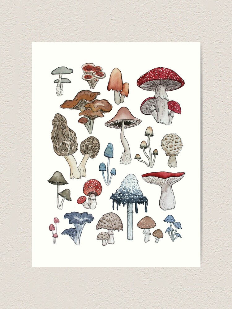 Printable - Mushrooms and Fauna - I am making all things new