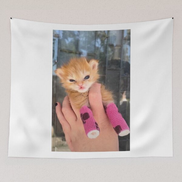 Item preview, Good morning, i am Tater tot designed and sold by doorzz.