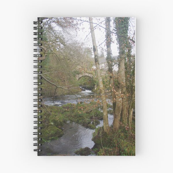 Item preview, The River Aune And Lydia Bridge designed and sold by lezvee.