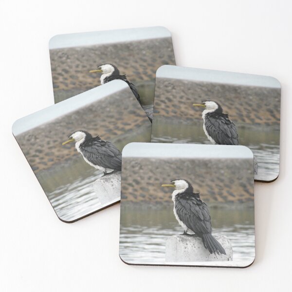 Item preview, Cormorán australiano designed and sold by Charlie Stanwix.