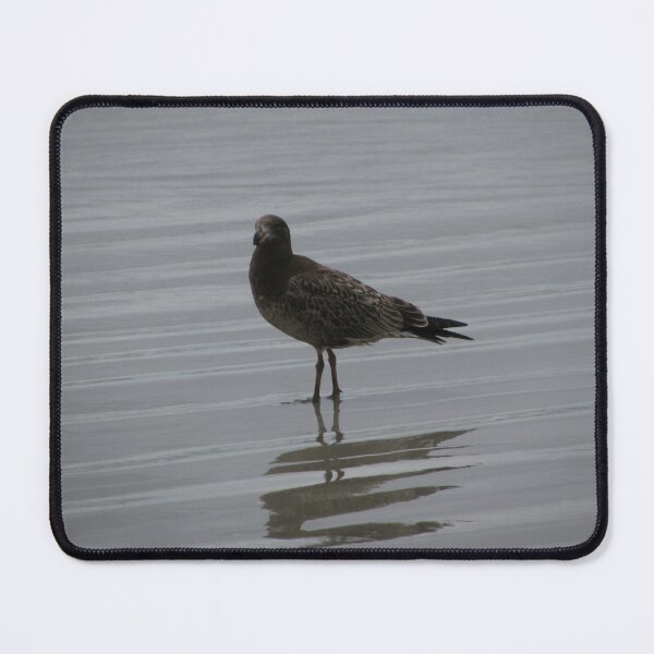 Item preview, Grey Gull  designed and sold by Charlie  Stanwix.