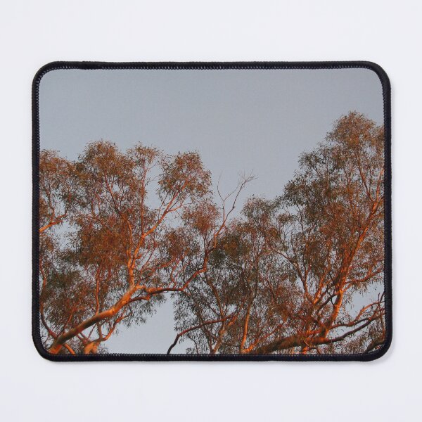 Item preview, Sunset painted trees designed and sold by Charlie Stanwix.