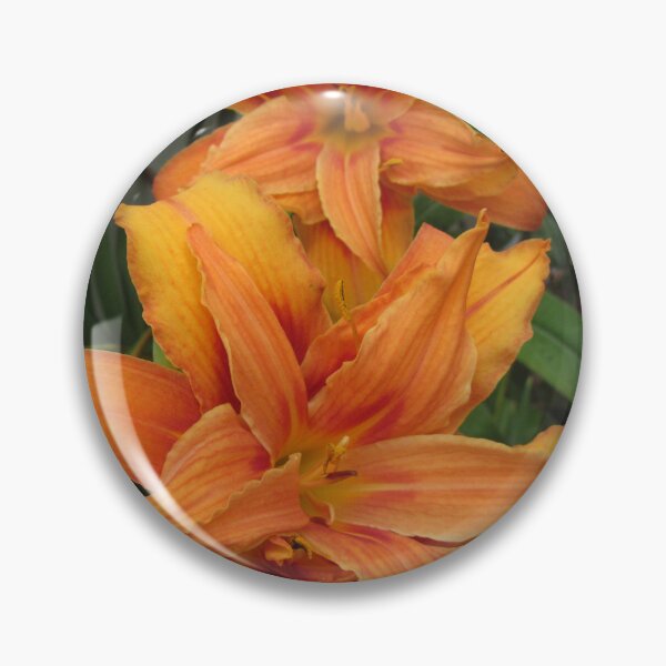 Item preview, Hemerocallis - Day Lilies In My Garden designed and sold by lezvee.