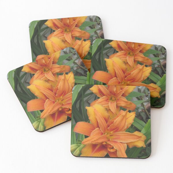 Item preview, Hemerocallis - Day Lilies In My Garden designed and sold by lezvee.