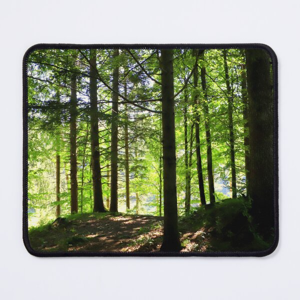 Item preview, Lights in the woods designed and sold by annalisa56.