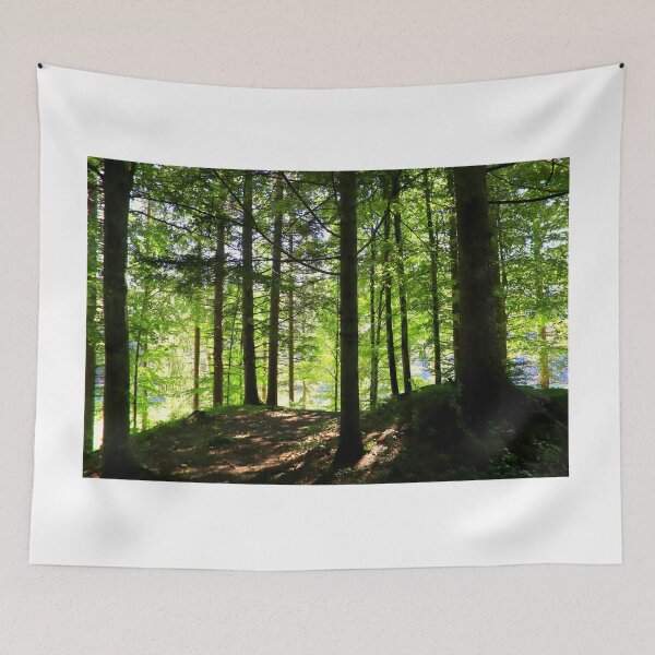 Artikelvorschau, Lichter im Wald entworfen und verkauft von annalisa56.