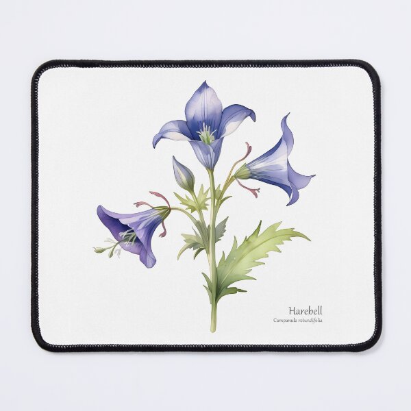 Item preview, Harebell Delight  designed and sold by PixelFixArt.