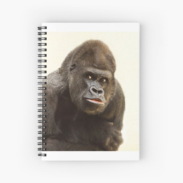 Cuadernos de espiral: Pelea De Gorilas | Redbubble