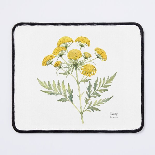 Item preview, Tansy Plant Illustration designed and sold by PixelFixArt.