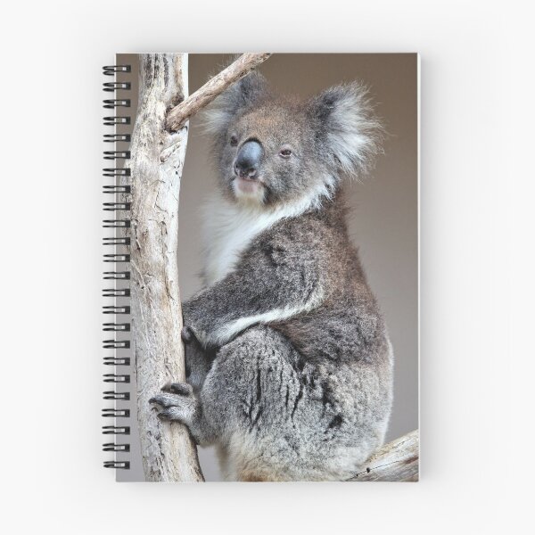 Item preview, Koala designed and sold by Linda  Hammond.