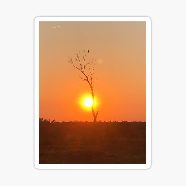 Item preview, Silhouette of a tree with a bird during sunset designed and sold by compusmurf.